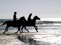 Horseback Riding in Costa Rica